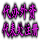 外資公司注冊(cè)